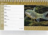 Stolný kalendár Rybář 2020
