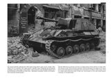 SU-76 on the Battlefield (vol.12)