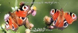 Atlas denných motýľov 2017