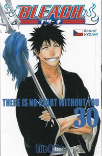 Bleach č.30 - There Is No Heart Withnout You