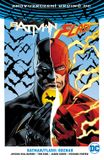 Znovuzrození hrdinů DC: Batman/Flash - Odznak