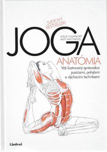 Joga - Anatómia