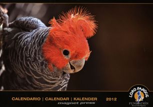 Loro Parque - kalendár 2012