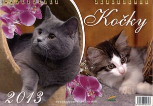 Kočky 2013 - stolní dvoutýdenní kalendář