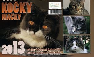 Kočky 2013 - stolní týdenní kalendář