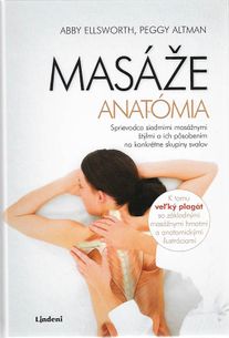 Masáže - Anatómia