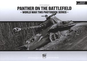 Panther on the Battlefield (Vol.6)