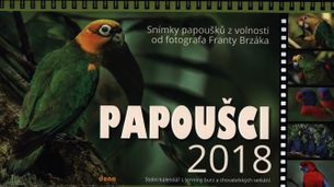 Papoušci - stolový kalendář 2018