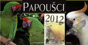 Papoušci - kalendár stolový 2012
