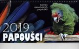Stolový kalendár 2019: Papoušci